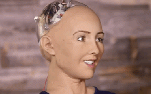 Sophie AI.gif