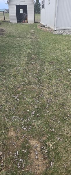 File:Vv gas line trench 2.jpg