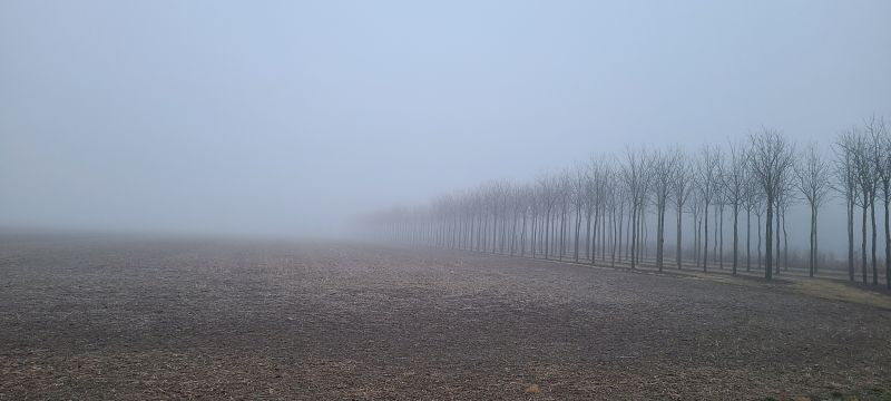 File:Resized millroad.jpg