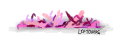 Thumbnail for version as of 02:26, 26 June 2024