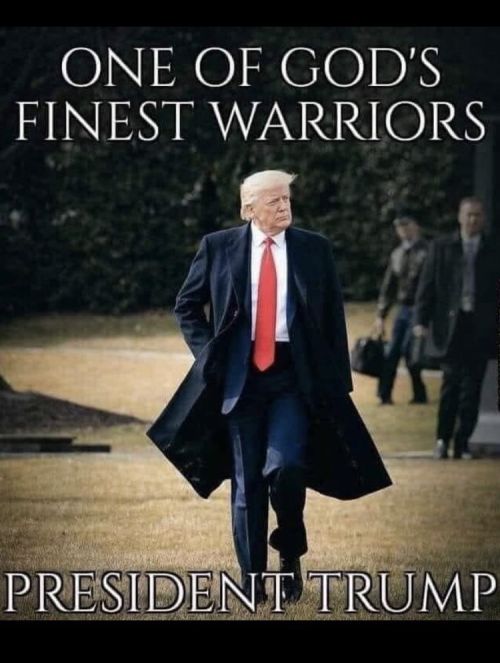 Trump warrior.jpg